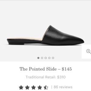 Everlane Pointed Slide
